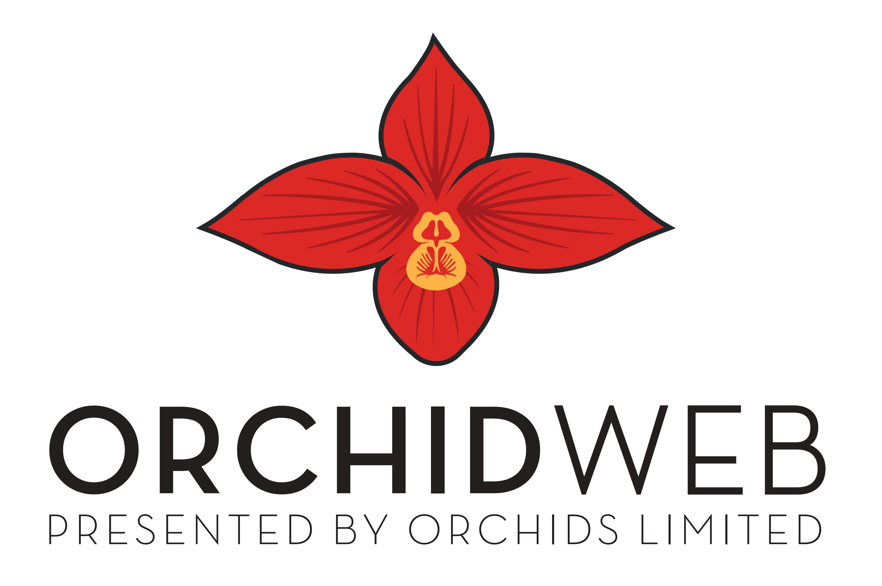 Card Logo